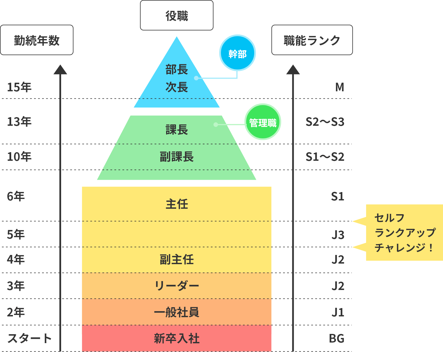 セルフランクアップ制度